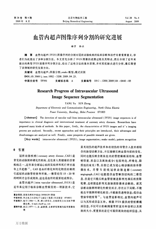 血管内超声图像序列分割的研究进展
