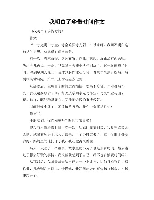 我明白了珍惜时间作文