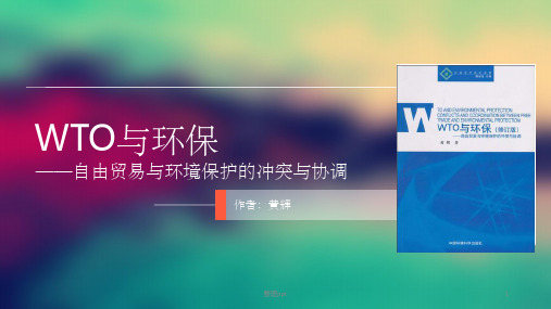 《WTO与环保》PPT课件