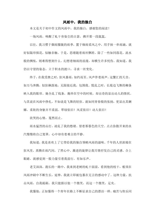 风雨中,我的独白_初中作文_2