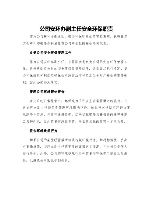 公司安环办副主任安全环保职责