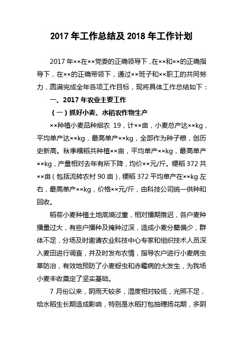 2017年工作总结及2018年工作计划