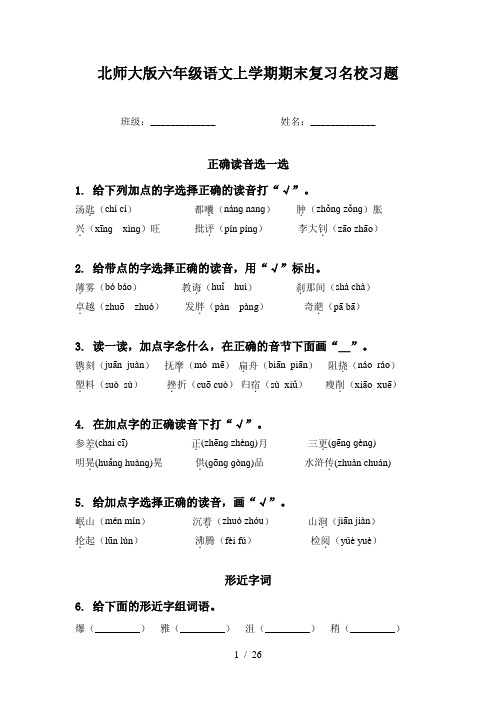 北师大版六年级语文上学期期末复习名校习题