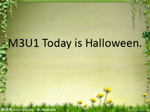 外研一起五上M3U1 Today is Halloween