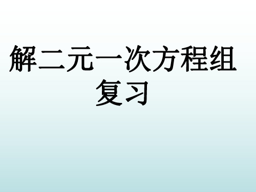 七年级数学解二元一次方程组复习