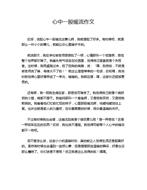 心中一股暖流作文