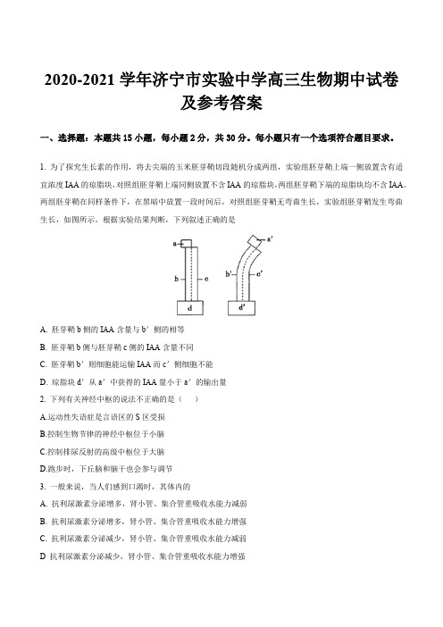 2020-2021学年济宁市实验中学高三生物期中试卷及参考答案