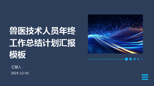 兽医技术人员年终工作总结计划汇报模板