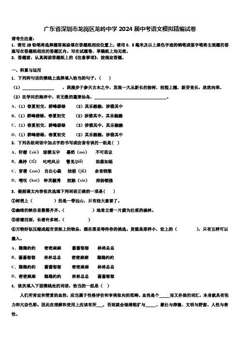 广东省深圳市龙岗区龙岭中学2024届中考语文模拟精编试卷含解析