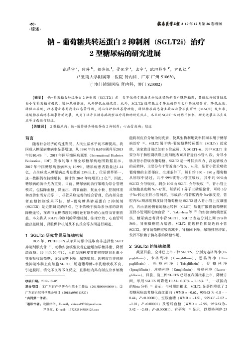 钠-葡萄糖共转运蛋白2抑制剂(sglt2i)治疗2型糖尿病的研究进展