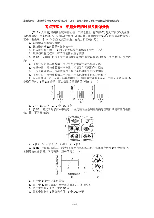 2019高考生物二轮复习考点狂练9细胞分裂的过程及图像分析