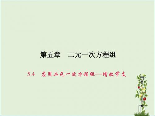 5.4 应用二元一次方程组——增收节支