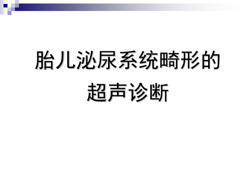 胎儿泌尿系畸形超声诊断ppt课件