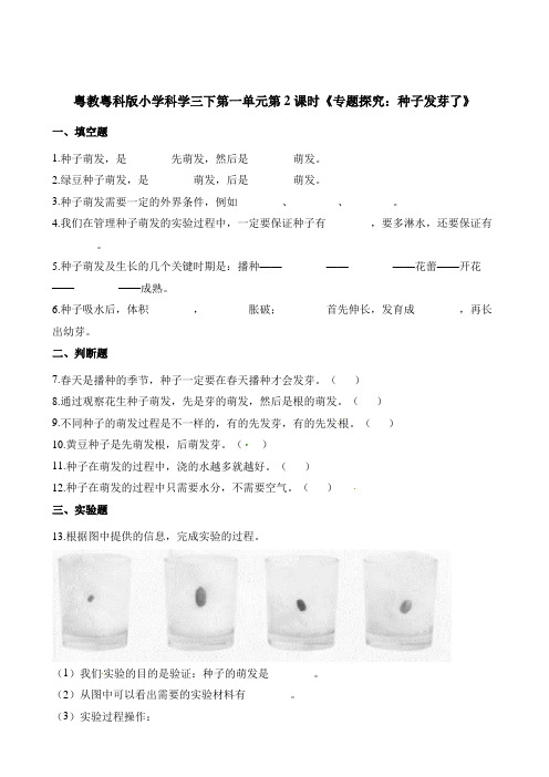 三年级下册科学一课一练1.2《专题探究：种子发芽了》粤教版(含答案)