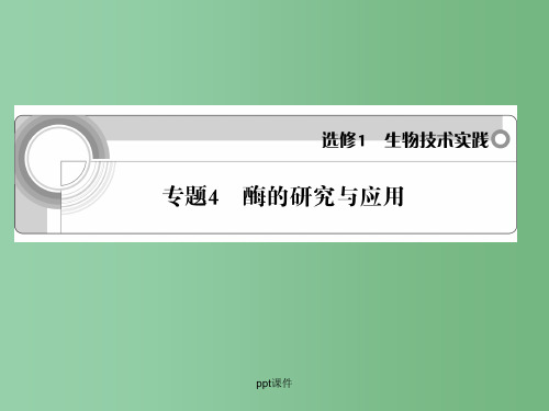 高中生物 专题4 酶的研究与应用学案与测评 新人教版选修1