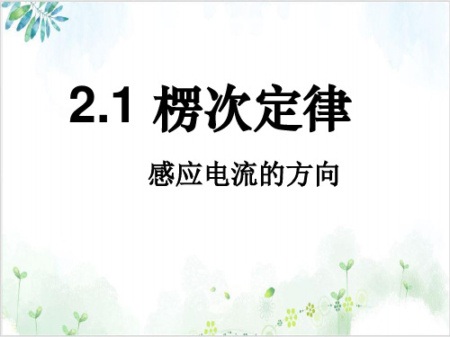 人教版(新)高二物理选择性必修第二册-楞次定律(38张)-PPT优秀课件