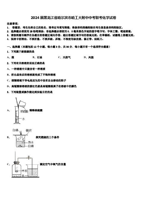 2024届黑龙江省哈尔滨市哈工大附中中考联考化学试卷含解析