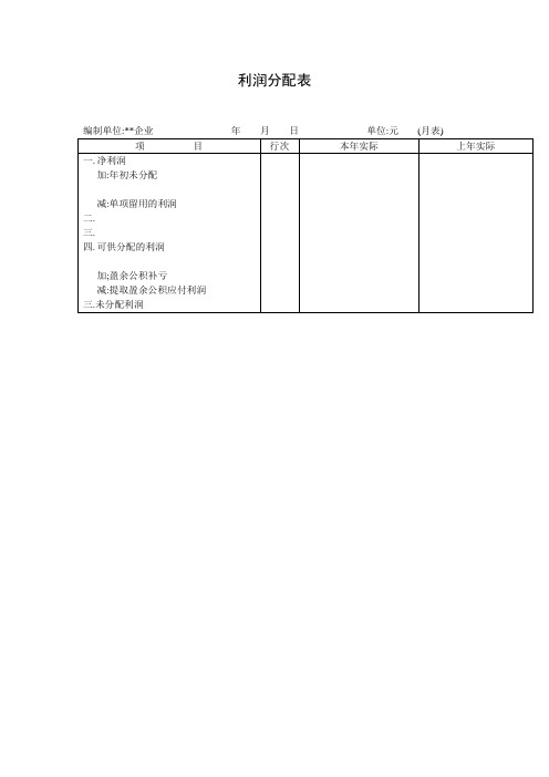 利润分配表(doc格式)