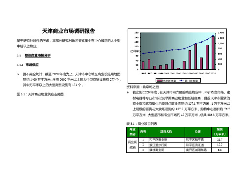 天津商业市场调研报告