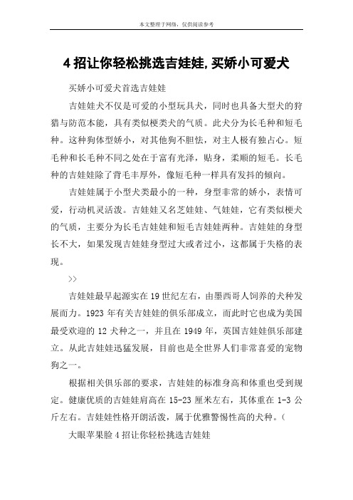 4招让你轻松挑选吉娃娃,买娇小可爱犬