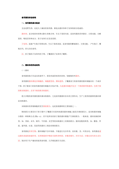食用菌的形态结构 Microsoft Word 文档