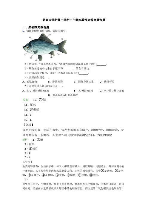 北京大学附属中学初二生物实验探究综合题专题