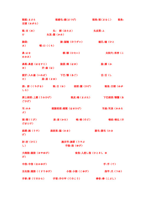 身体部位的词汇
