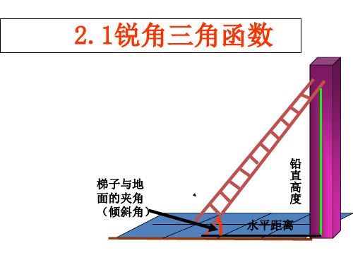 山东省九年级鲁教版(五四制)数学上册课件：21锐角三角函数(1)(共13张PPT)