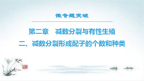 高一生物苏教版必修2第2章 微专题突破 减数分裂形成配子的个数和种类