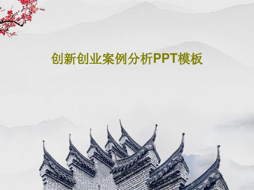 创新创业案例分析PPT模板共29页