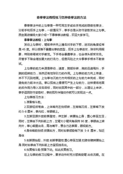 泰拳拳法教程练习各种泰拳法的方法