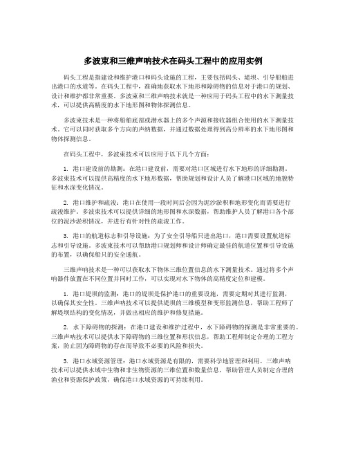 多波束和三维声呐技术在码头工程中的应用实例