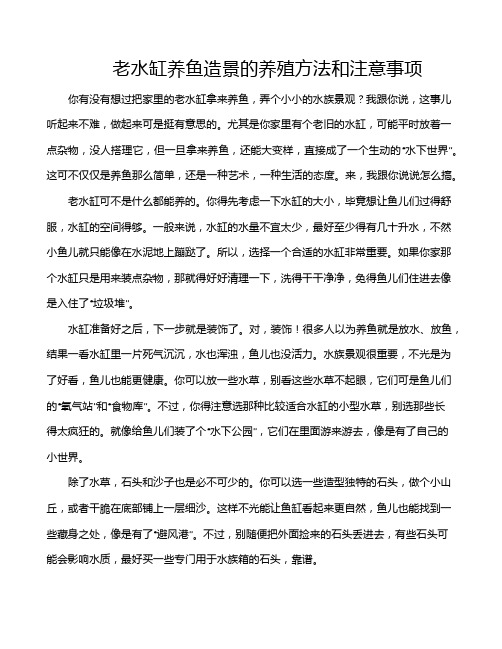 老水缸养鱼造景的养殖方法和注意事项