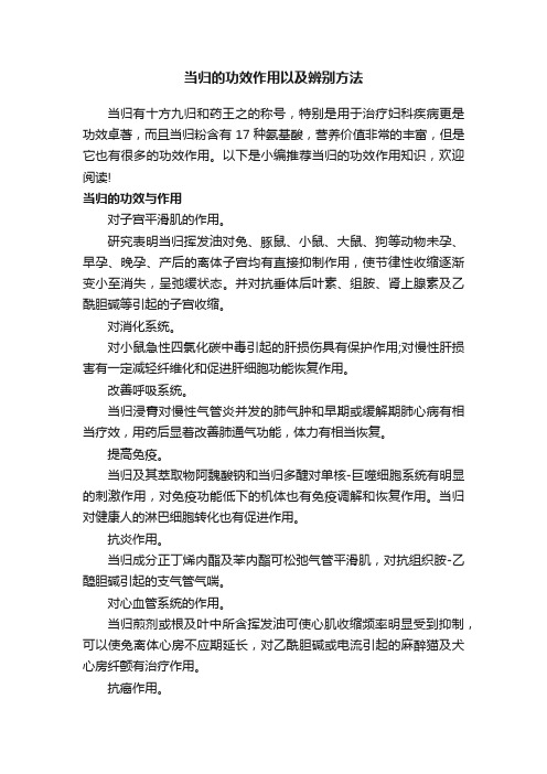 当归的功效作用以及辨别方法