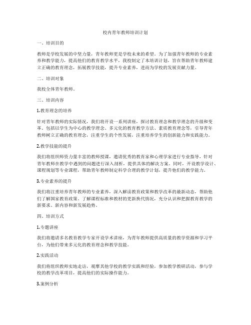 校内青年教师培训计划