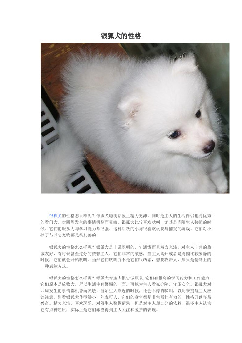 银狐犬的性格