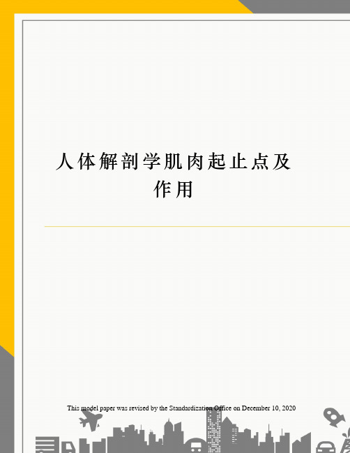 人体解剖学肌肉起止点及作用