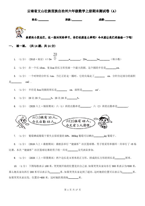 云南省文山壮族苗族自治州六年级数学上册期末测试卷(A)