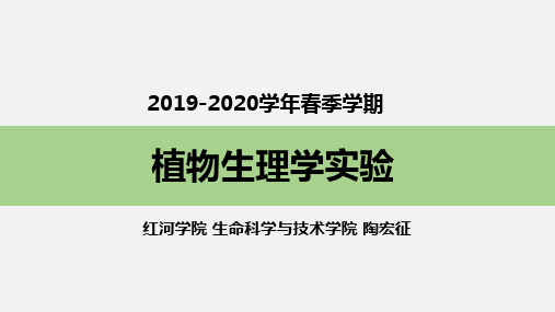 《植物生理学实验》实验04 植物的溶液培养和缺素培养