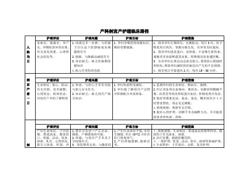 产科剖宫产临床路径