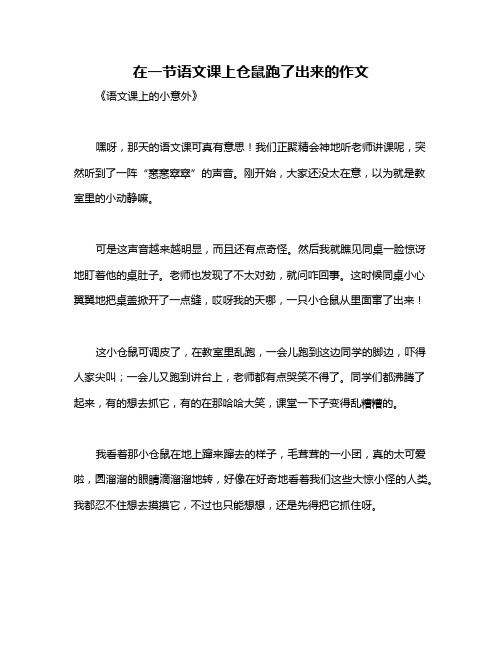 在一节语文课上仓鼠跑了出来的作文