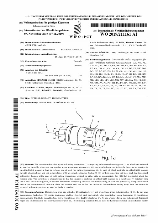 【WO2019211161A1】光旋转传输器【专利】