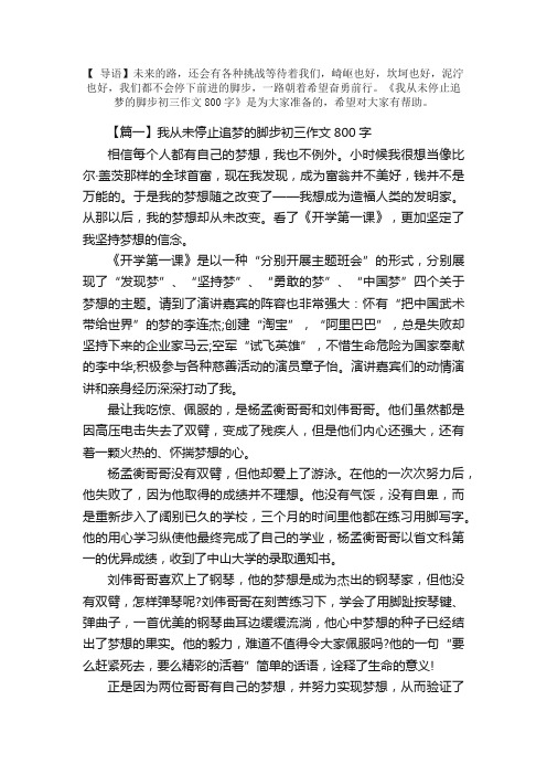 我从未停止追梦的脚步初三作文800字