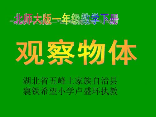 新北师大版数学一年级下册《观察物体》卢盛环