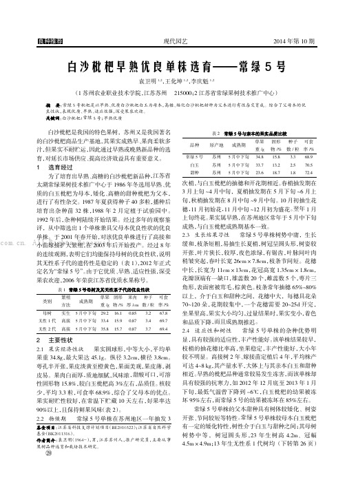 白沙枇杷早熟优良单株选育———常绿5号