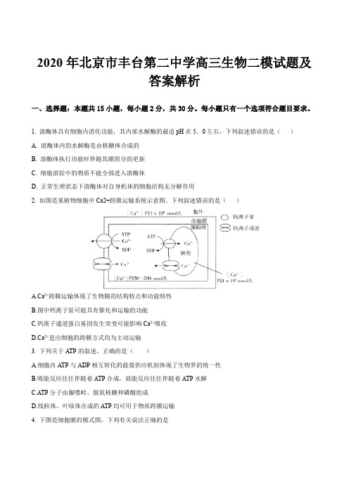 2020年北京市丰台第二中学高三生物二模试题及答案解析