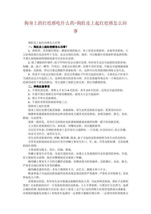 狗身上的红疙瘩吃什么药-狗肚皮上起红疙瘩怎么回事