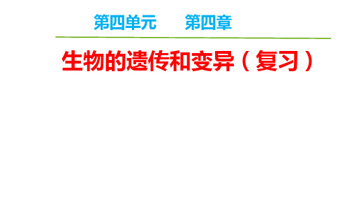 第四章生物遗传变异复习课 课件  2021-2022学年济南版生物八年级上册 [修复的]