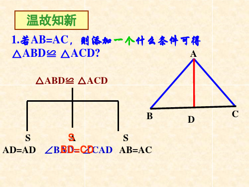 人教版初中数学课标版八年级上册第十二章12.2 三角形全等的判定(共19张PPT)