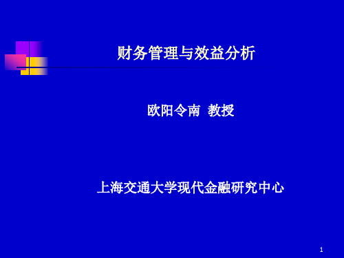 财务管理与效益分析模版